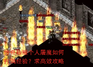 ����˽��������ħ��δ������飿���Ч����