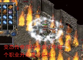 ��̬�������а�������ĸ�ְҵ�����ٶ���죿