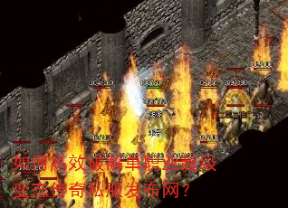 ��θ�Ч�ƽⵥְҵ������̬����˽����������