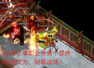 ����ڵ�ְҵ����������PK��ʵ�����ư�ս����