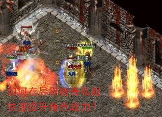 �������紫��˽������������ɫս����