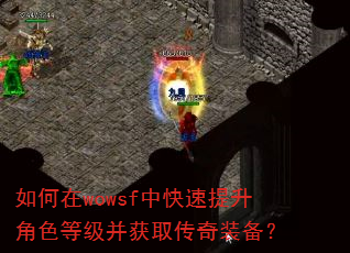 �����wowsf�п���������ɫ�ȼ�����ȡ����װ����