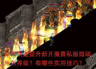 ��ο��������¿�ħ��˽��΢�˽�ɫ�ȼ�������Щʵ�ü��ɣ�