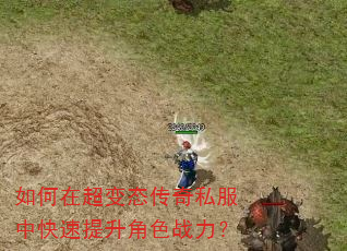 ����ڳ���̬����˽���п���������ɫս����