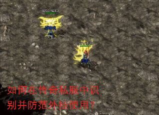 ����ڴ���˽����ʶ�𲢷������ʹ�ã�