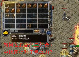����ڱ�̬��Ѫ����sf�п���������ɫս����