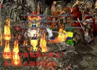 �뿪����˽��һ���������ָô������𲽣�