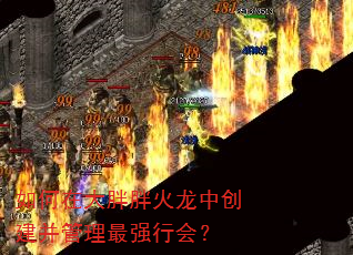 ����ڴ����ֻ����д�����������ǿ�л᣿