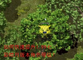 如何快速提升1.99七彩皓月版本角色等级? 如何快速提升1.99七彩皓月版本角色等级?