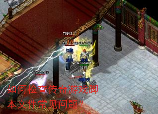 ��μ�鴫����Ϸ�ű��ļ��������⣿