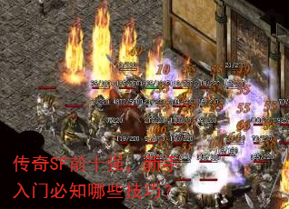 ����SFǰʮǿ���������ű�֪��Щ���ɣ�