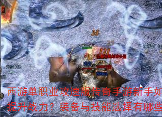 ���ε�ְҵ���ٰ洫������������ο�������ս����װ���뼼��ѡ������Щ���ɣ�