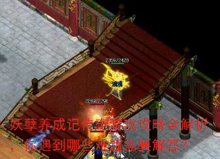 妖孽养成记传奇游戏攻略全解析,你遇到哪些难题需要解答? 妖孽养成记传奇游戏攻略全解析,你遇到哪些难题需要解答?