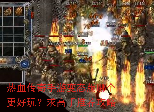 ��Ѫ�������α�̬���ĸ������棿������Ƽ�����