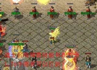 道士召唤神兽技能书在传奇1.76中哪里可以打到? 道士召唤神兽技能书在传奇1.76中哪里可以打到?