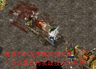 ħ��2024��������λ�ȡ������������ʵս����ȫ����