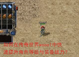 ����ڴ�������woool�п���������ɫ�ȼ���װ��ս����