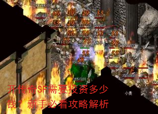 ������SF��ҪͶ�ʶ���Ǯ�����ֱؿ����Խ���