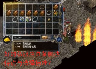 �õ�˽��Ӧ�߱���Щ�ص���ѡ���׼��