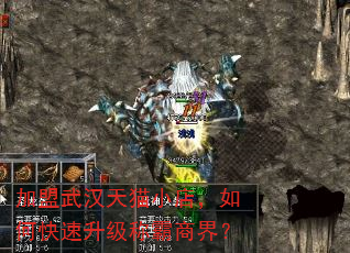 �����人��èС�꣬��ο��������ư��̽磿
